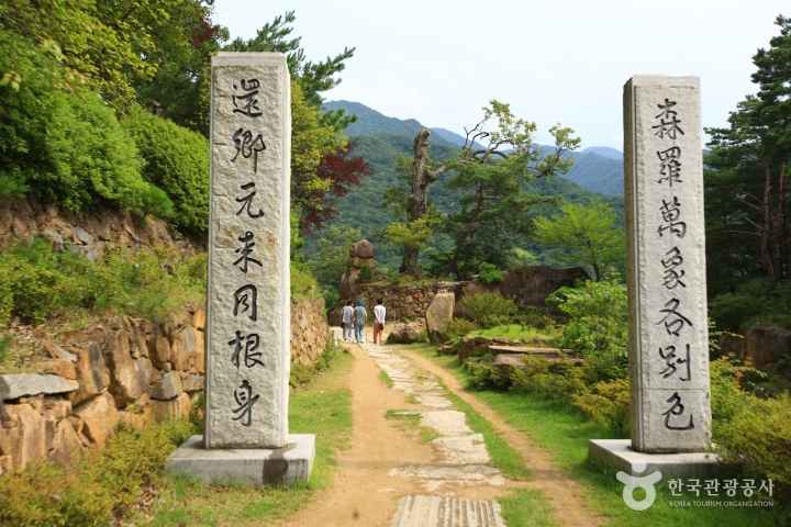 서암정사 입구의 돌기둥과 숲길